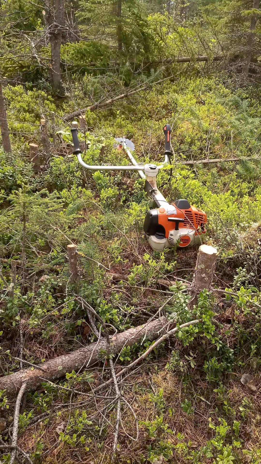 Metsätyökohde 4 – Metsäurakat A. Hakasalo