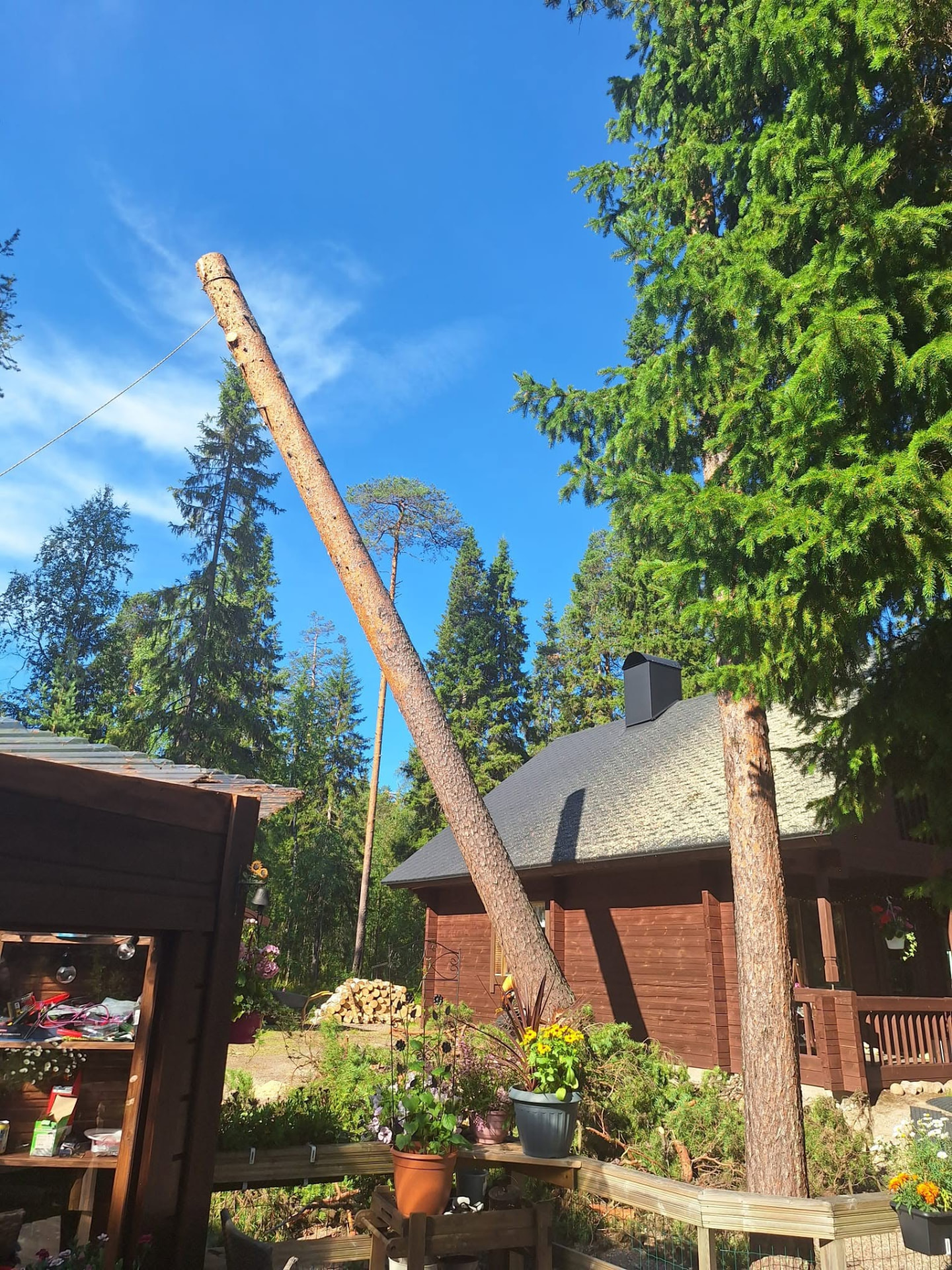 Metsätyökohde 7 – Metsäurakat A. Hakasalo