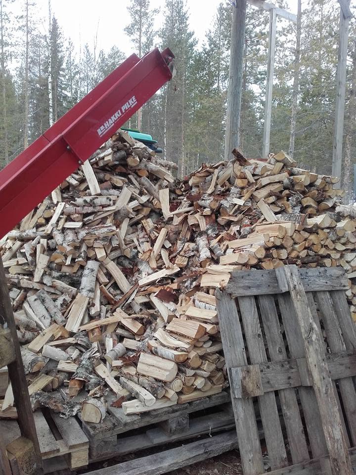 Metsätyökohde 6 – Metsäurakat A. Hakasalo